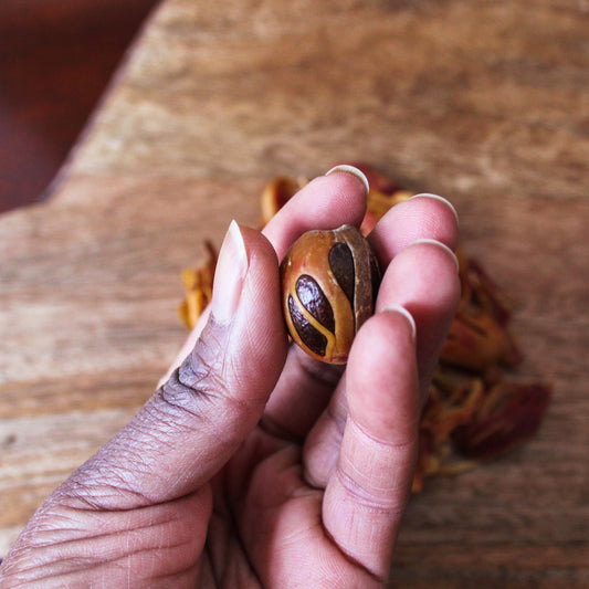 grenada gold nutmeg w/ mace [whole]