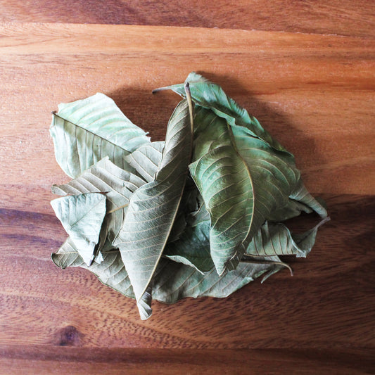 guava leaf