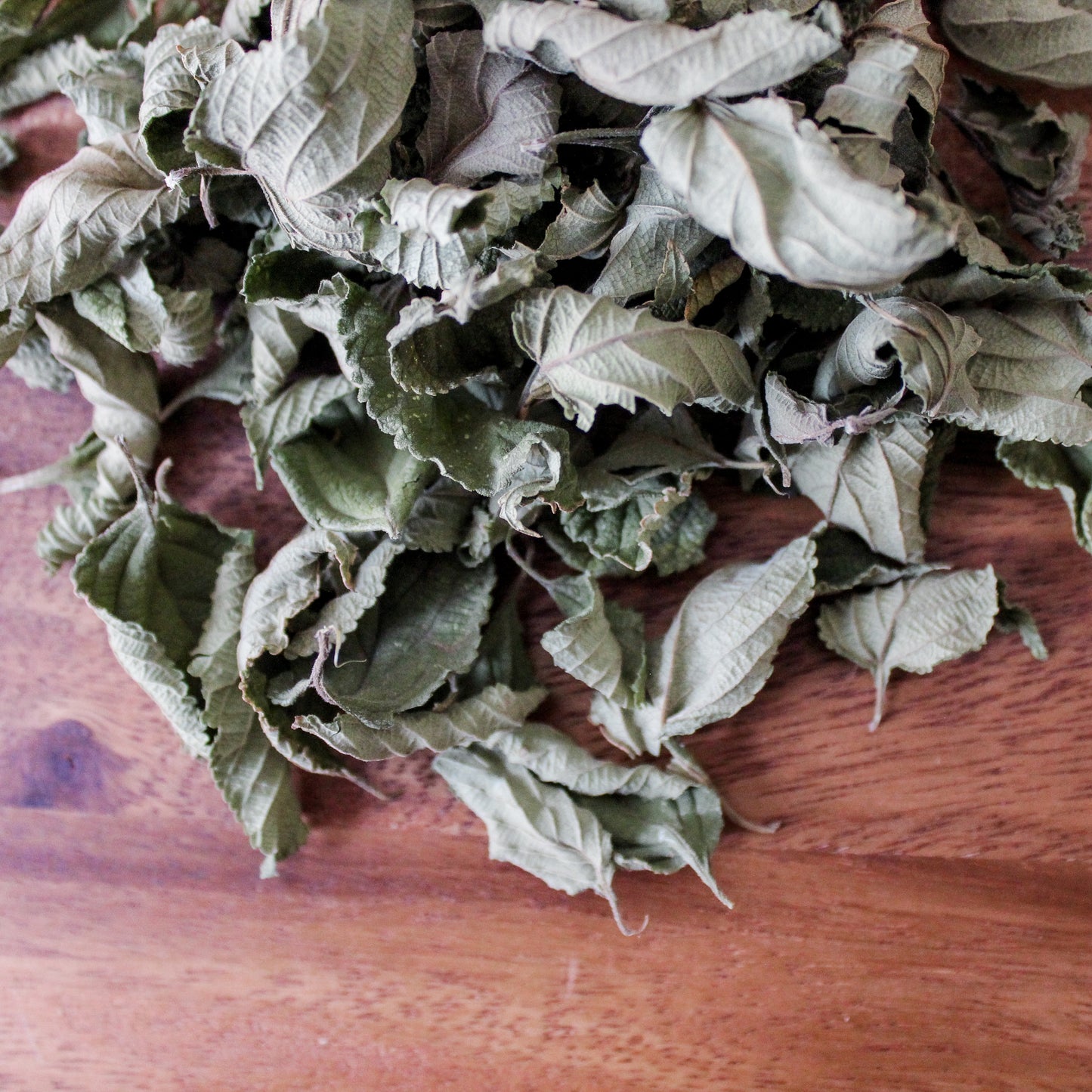 sugar dish | west indian lantana leaf