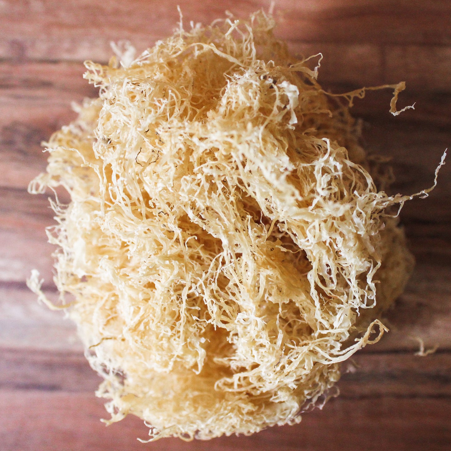 light gold sea moss