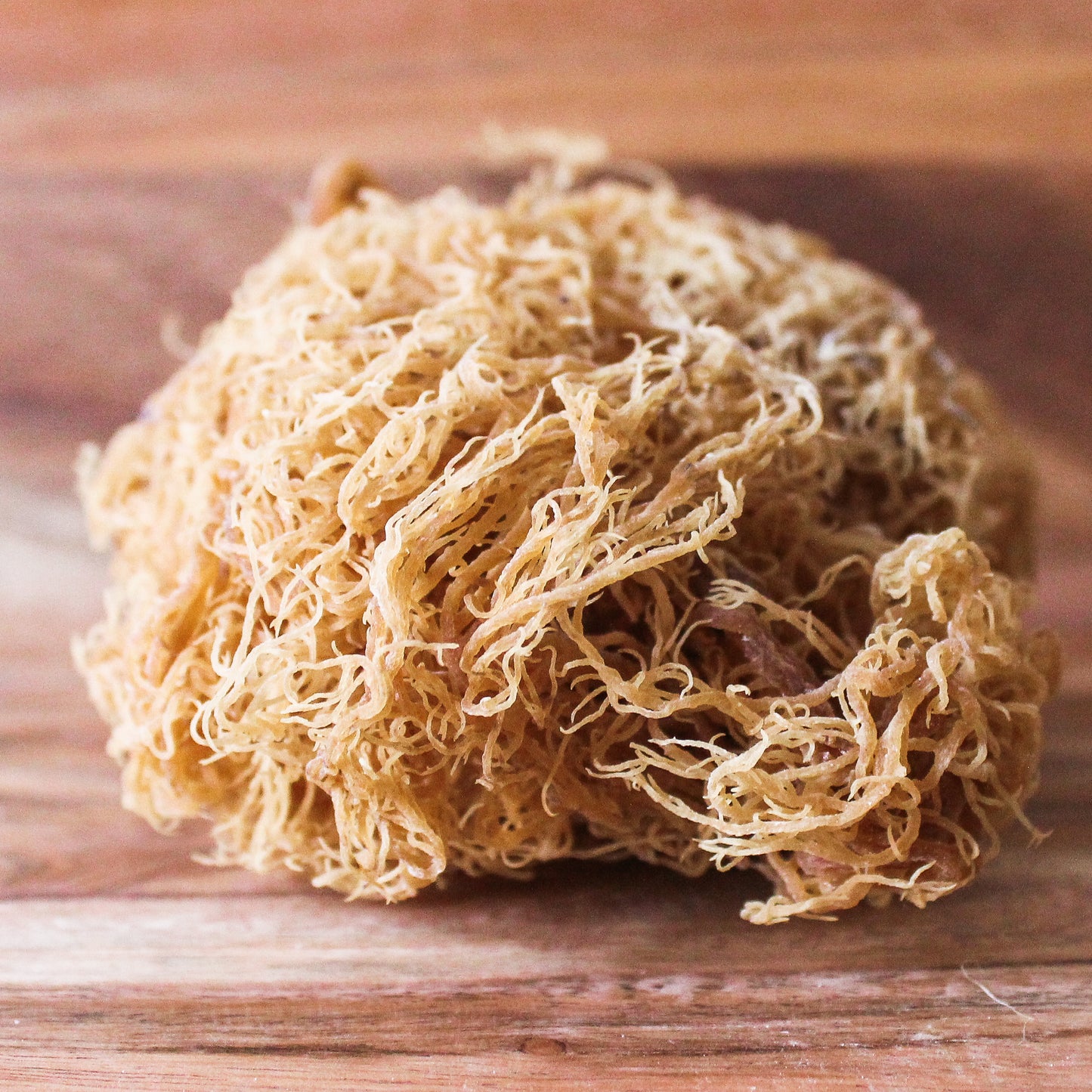 gold sea moss