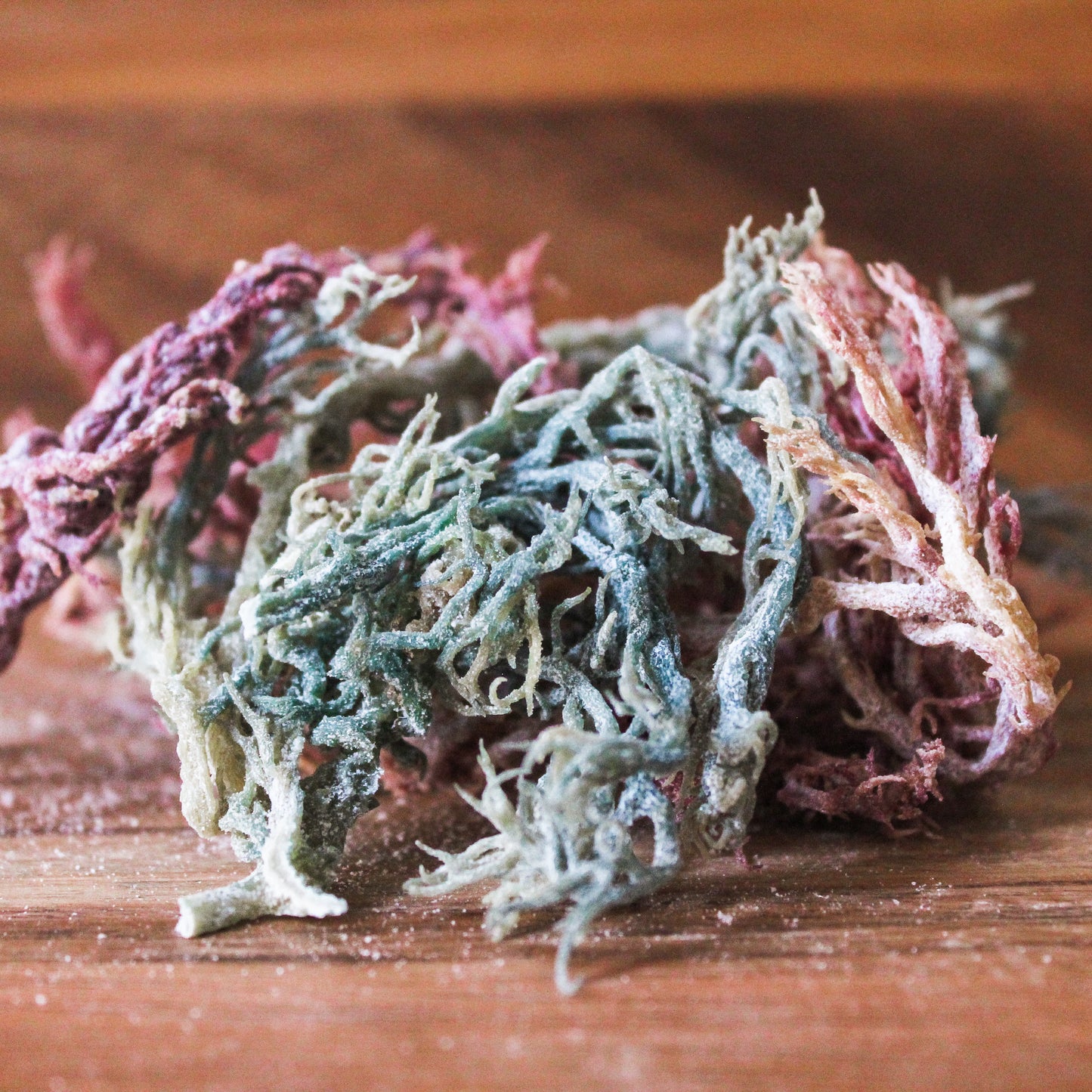 multi colored sea moss